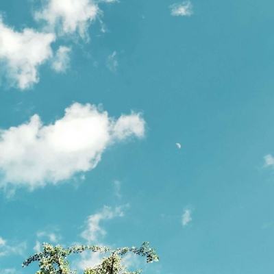 皇冠正规娱乐平台下载手机版